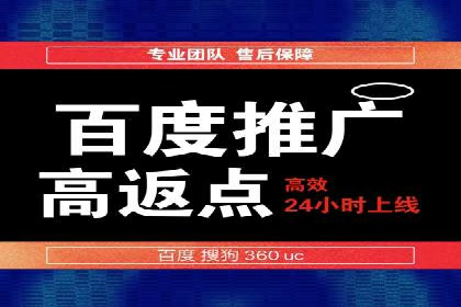 百度竞价策略解析：案例分析及优化建议